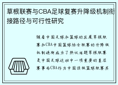 草根联赛与CBA足球复赛升降级机制衔接路径与可行性研究